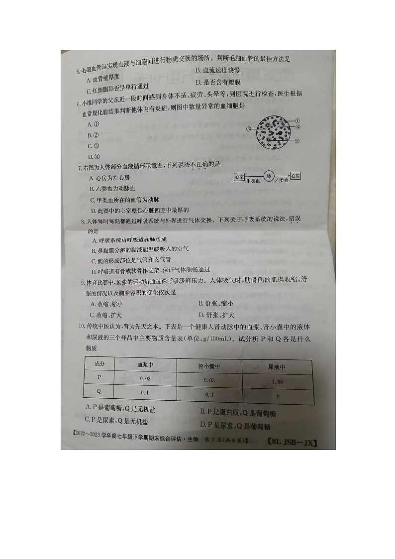 河南省周口市川汇区2022-2023学年七年级下学期6月期末生物试题第2页