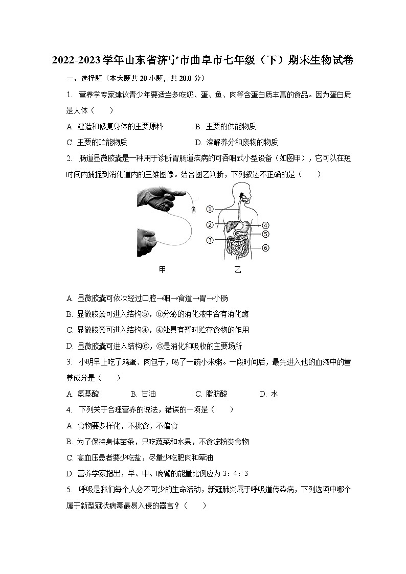 2022-2023学年山东省济宁市曲阜市七年级(下)期末生物试卷(含解析)第1页