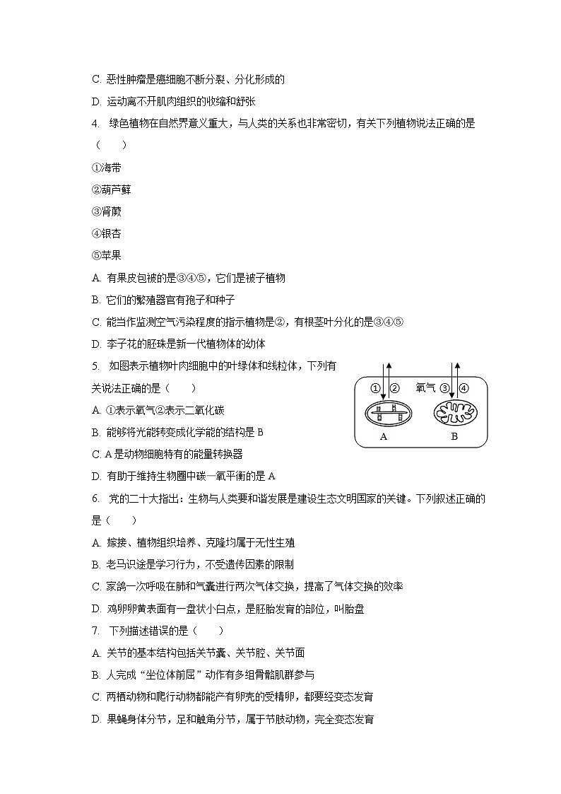 2022-2023学年山东省枣庄市台儿庄八年级(下)期末生物试卷(含解析)02