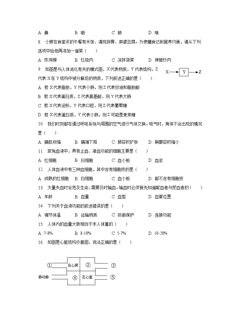 2022-2023学年广东省揭阳市揭东区七年级（下）期中生物试卷（含解析）02