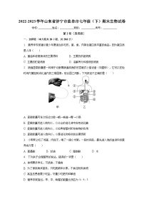 山东省济宁市曲阜市2022-2023学年七年级下期末生物试卷（含答案）