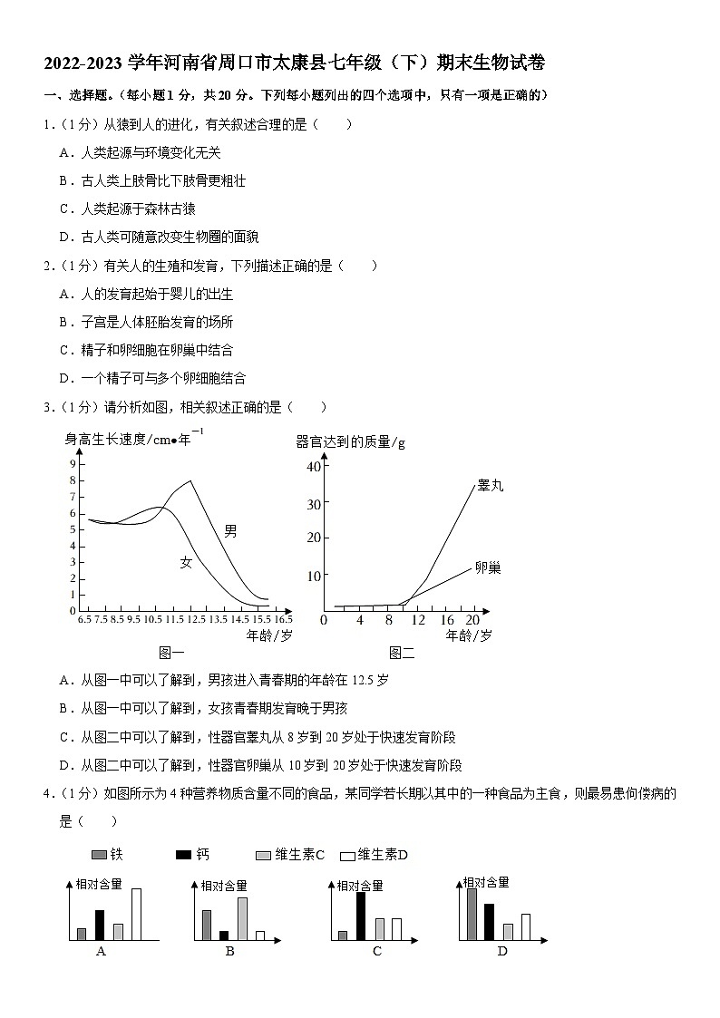 河南省周口市太康县2022-2023学年七年级下学期期末生物试卷(含答案)第1页
