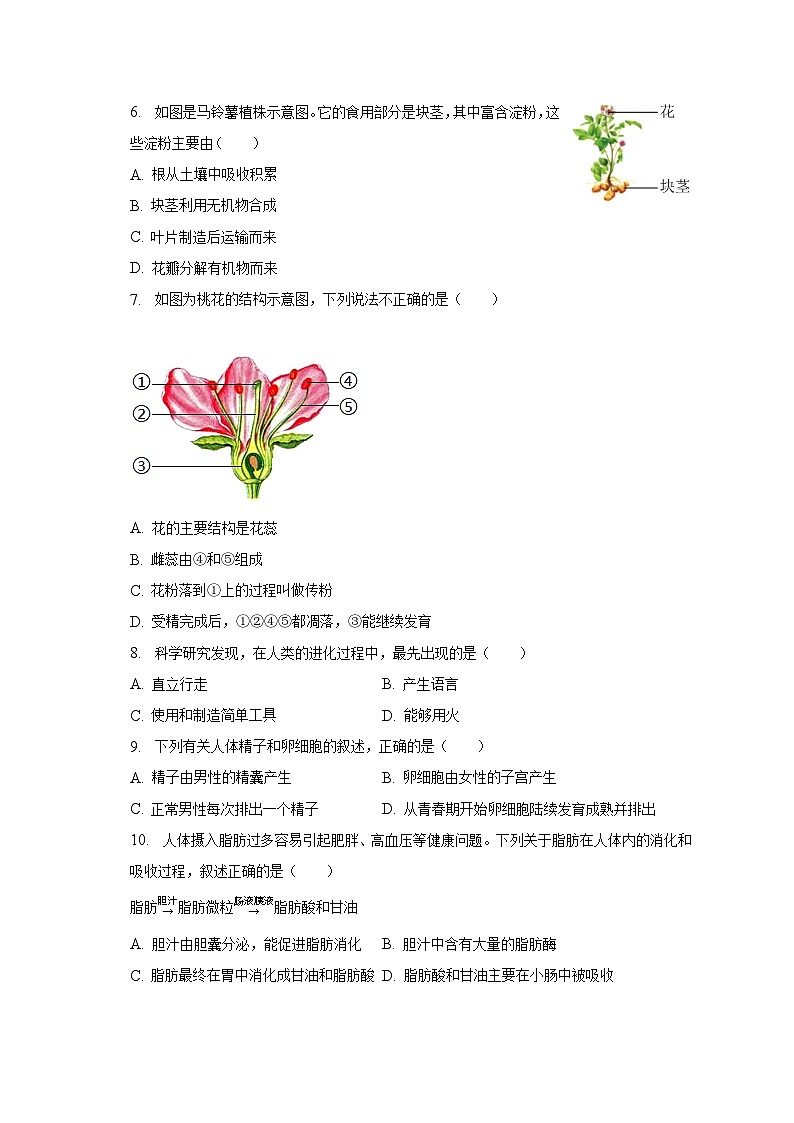2022-2023学年陕西省渭南市大荔县七年级(下)期末生物试卷(含解析)02