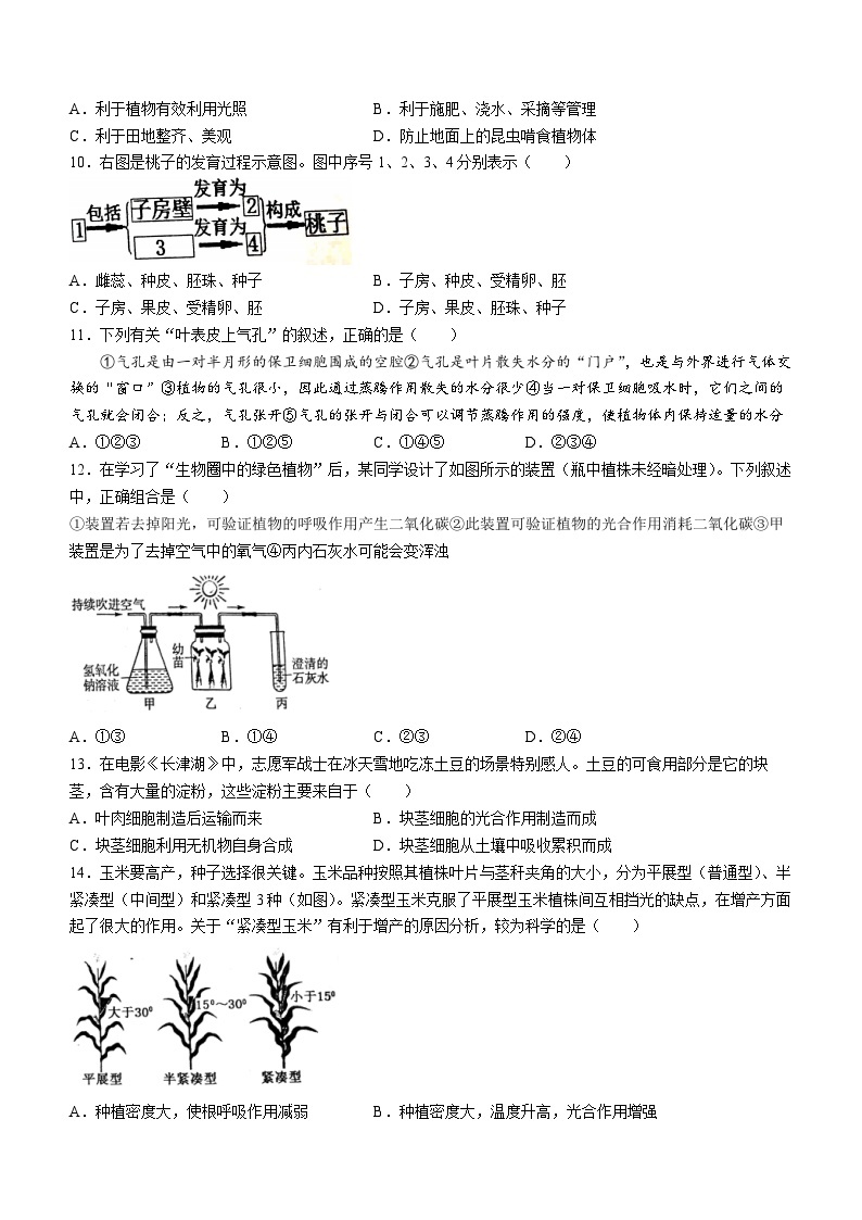 山东省泰安市东平县2022-2023学年六年级下学期期末生物试题（含答案）03