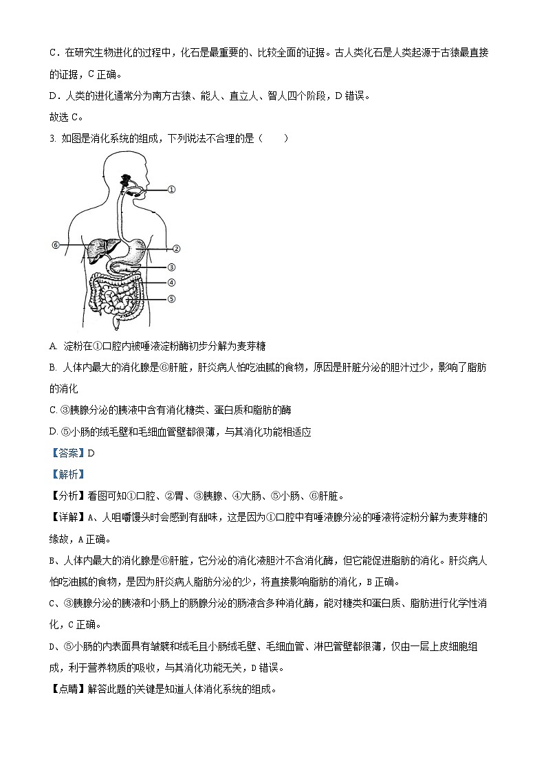 精品解析:山东省聊城市东阿县第三中学等四校联考2022-2023学年七年级下学期期末生物试题(解析版)第2页