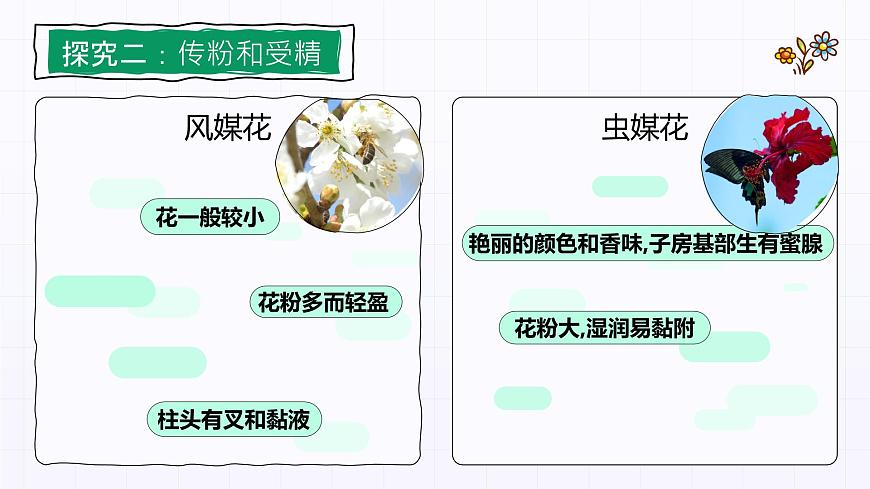 3.2.3《開花和結(jié)果》課件第7頁