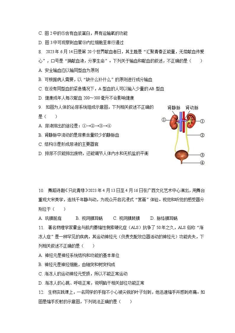 2022-2023学年广西南宁市银海区三雅学校七年级(下)期末生物试卷(含解析)第3页