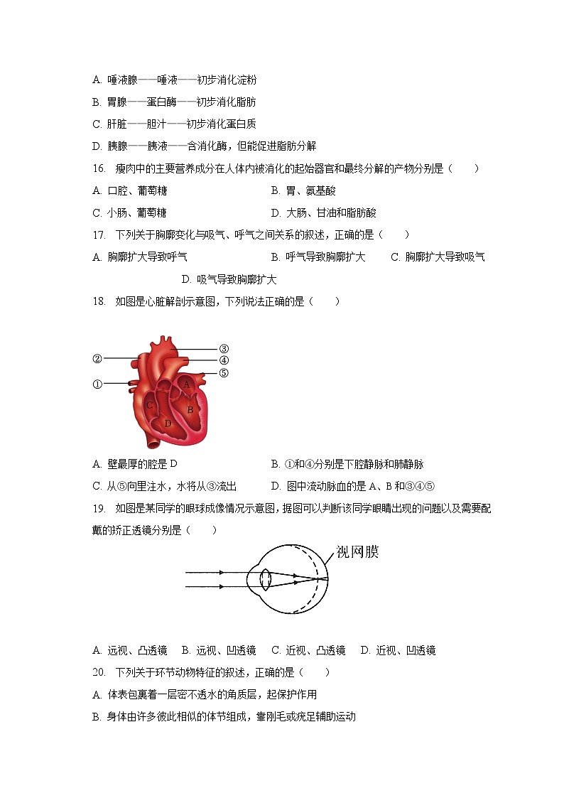 2023年黑龙江省齐齐哈尔龙沙区中考生物三模试卷(含解析)第3页