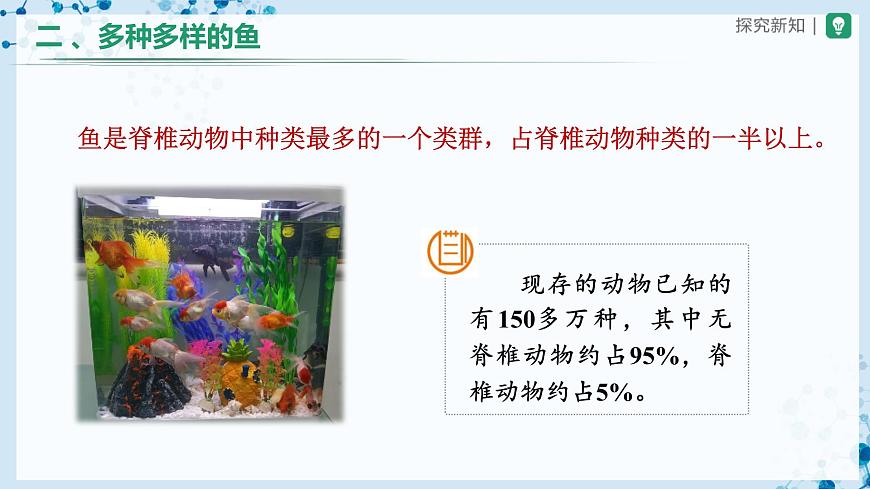 5.1.4 魚(第1課時)-(教學(xué)課件) 第5頁