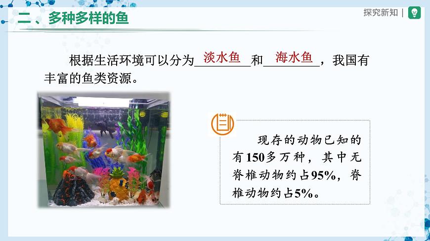 5.1.4 魚(第1課時)-(教學(xué)課件) 第6頁