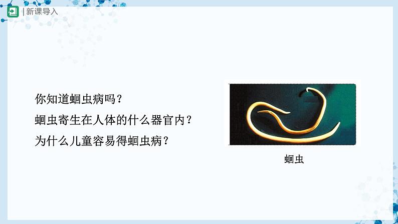 人教版八上生物 5.1.2 线形动物和环节动物(第1课时)课件+教案+分层练习+学案02
