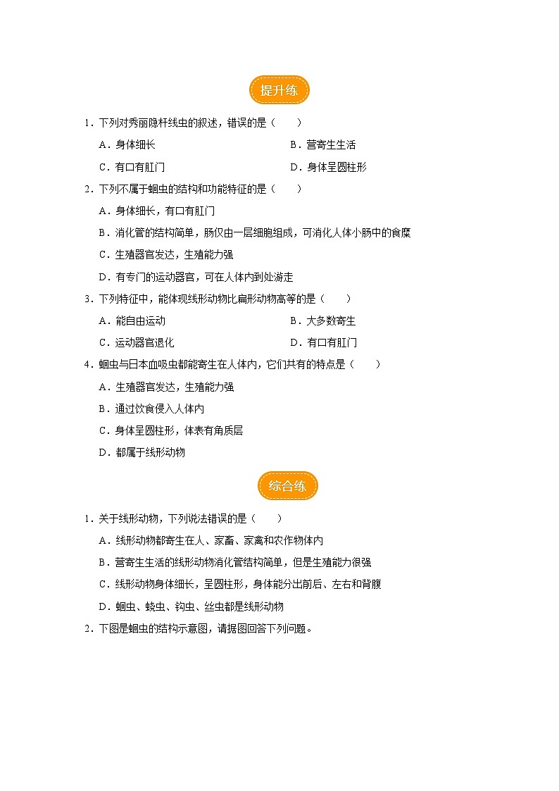 人教版八上生物 5.1.2 线形动物和环节动物(第1课时)课件+教案+分层练习+学案02