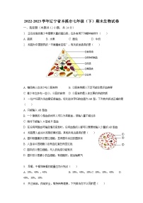 2022-2023学年辽宁省本溪市七年级（下）期末生物试卷（含解析）