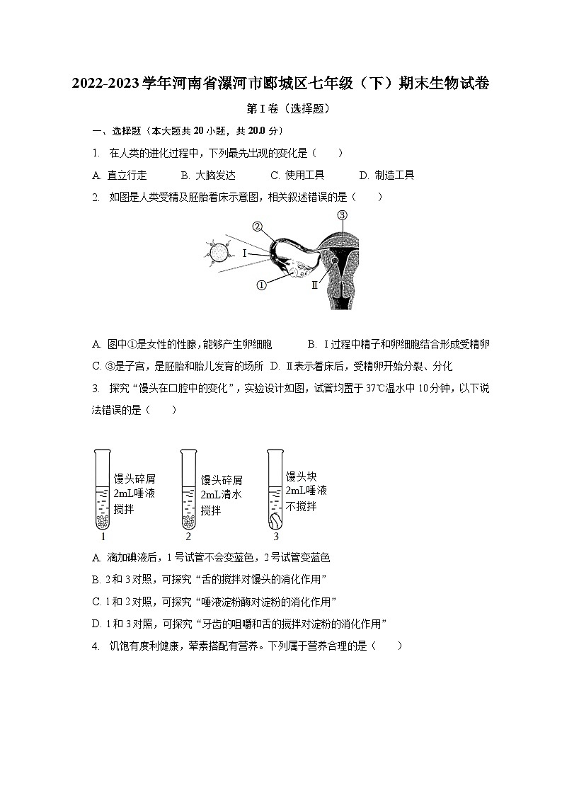 2022-2023学年河南省漯河市郾城区七年级(下)期末生物试卷(含解析)01