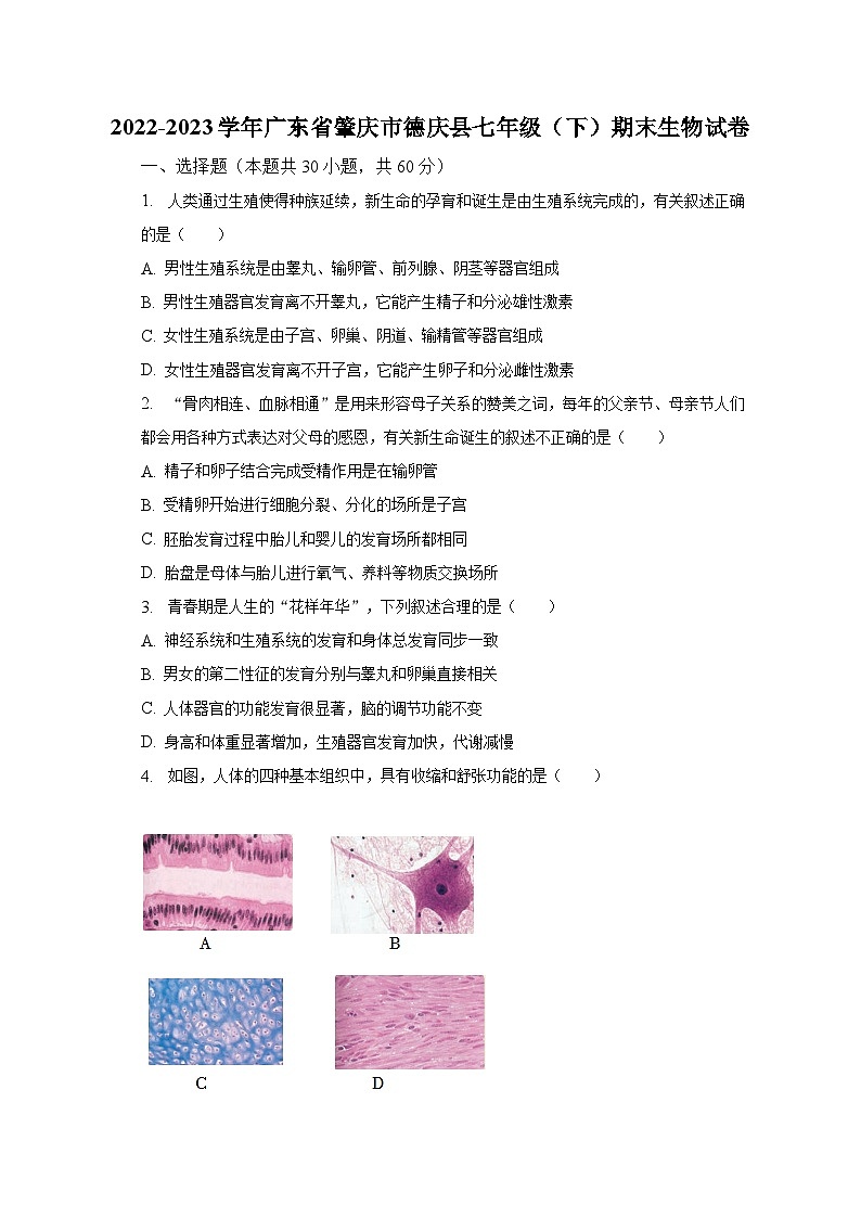2022-2023学年广东省肇庆市德庆县七年级(下)期末生物试卷(含解析)01