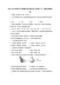 2022-2023学年辽宁省葫芦岛市连山区七年级（下）期末生物试卷（含解析）