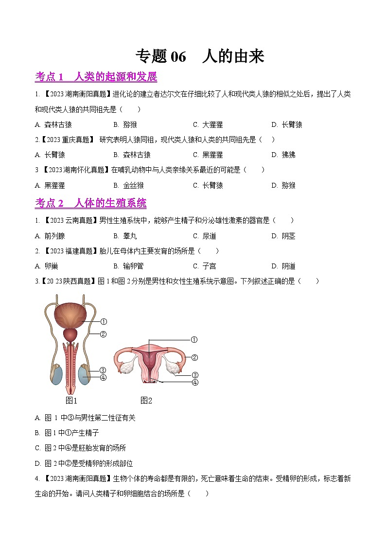 专题06 人的由来(全国通用) (原卷版)第1页