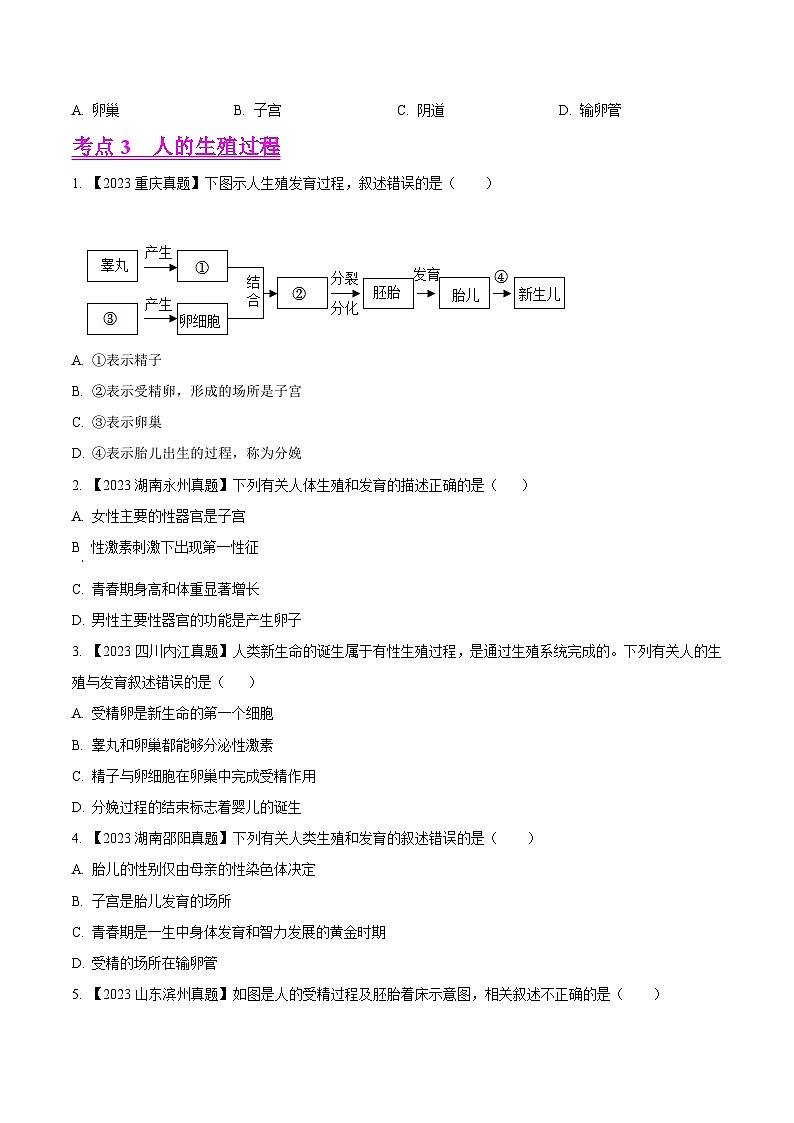 专题06 人的由来(全国通用) (原卷版)第2页