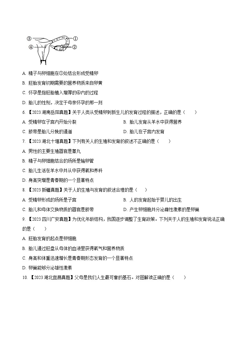 专题06 人的由来(全国通用) (原卷版)第3页
