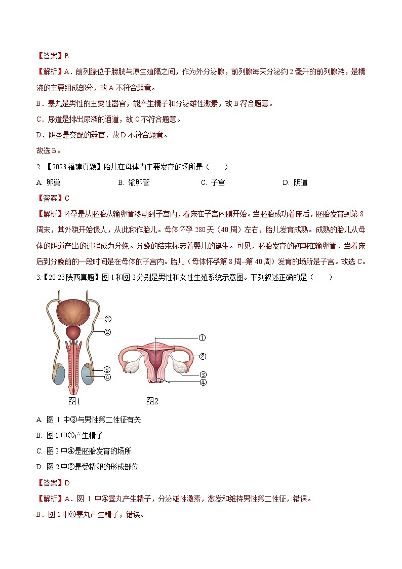 专题06 人的由来(全国通用) (解析版)第2页