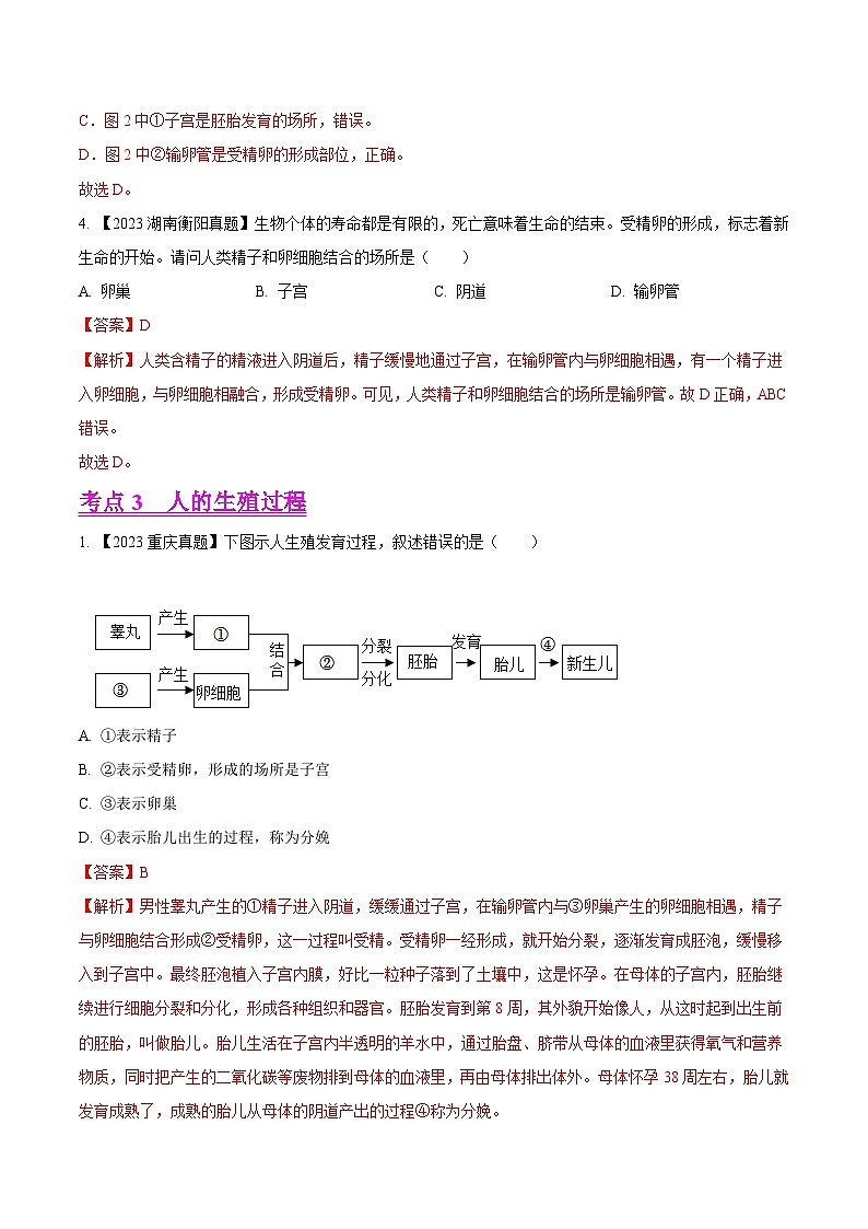 专题06 人的由来(全国通用) (解析版)第3页