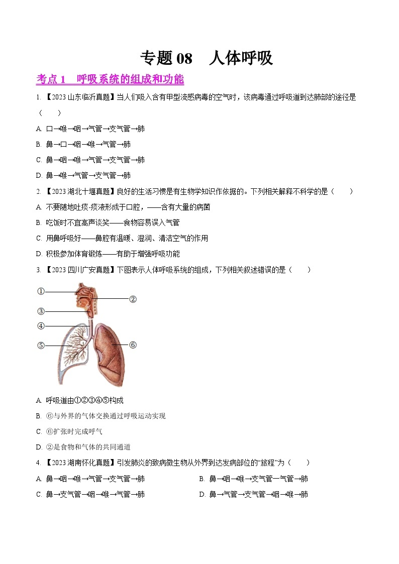 2023年全国生物中考真题试题分类汇编——专题08  人体呼吸（全国通用）01