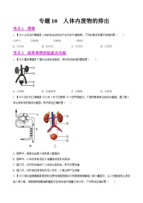 2023年全国生物中考真题试题分类汇编——专题10 人体内废物的排出(全国通用)