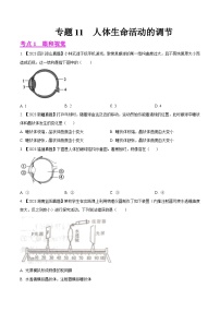 2023年全国生物中考真题试题分类汇编——专题11  人体生命活动的调节（全国通用）