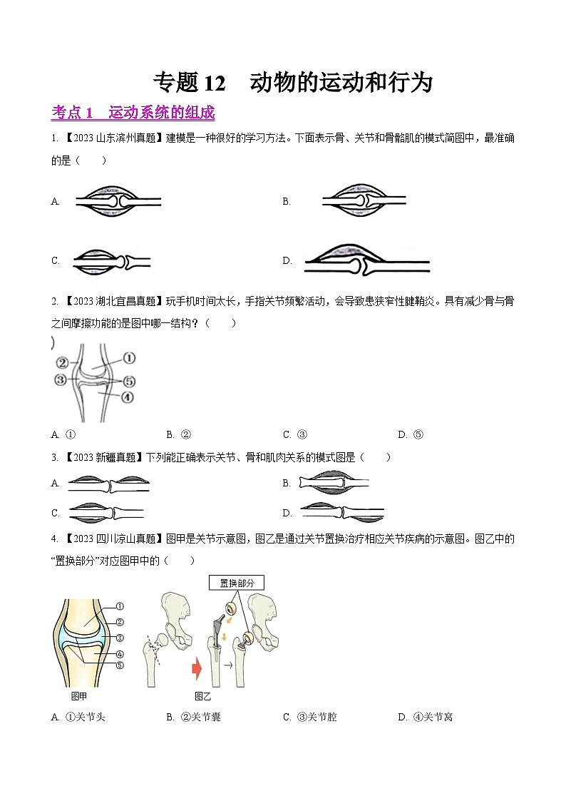 2023年全国生物中考真题试题分类汇编——专题12 动物的运动和行为(全国通用)01