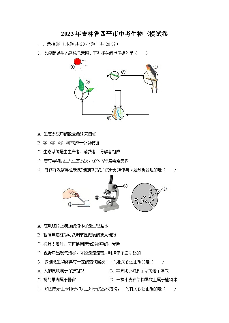 2023年吉林省四平市中考生物三模试卷(含解析)第1页