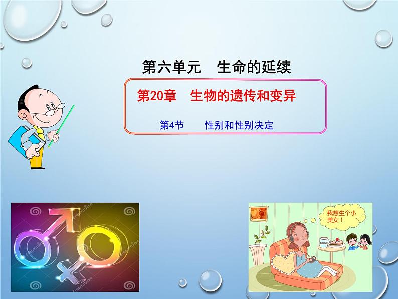 第二十章第四节 性别和性别决定-2023-2024学年八年级生物上册同步优质课件(北师大版)第3页