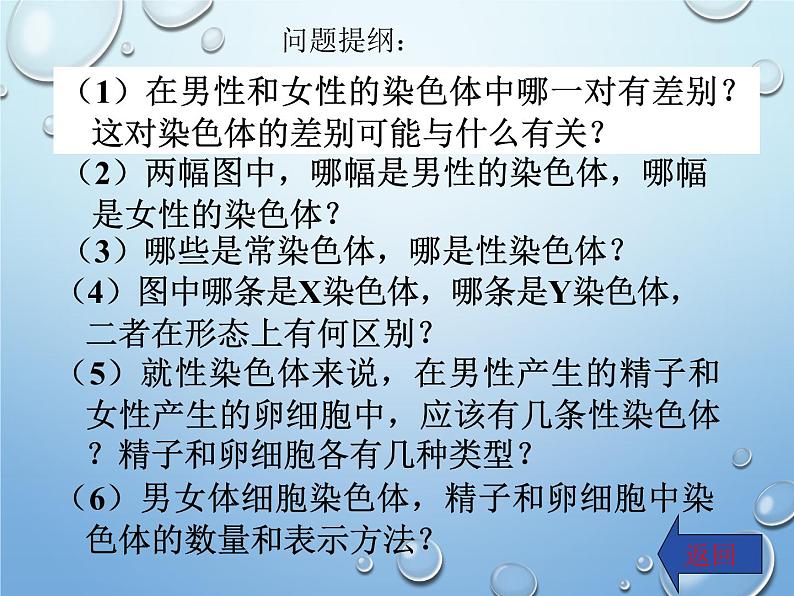 第二十章第四节 性别和性别决定-2023-2024学年八年级生物上册同步优质课件(北师大版)第5页