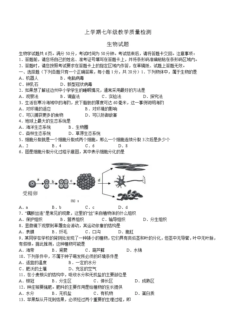 七年级上学期期末生物试题第1页