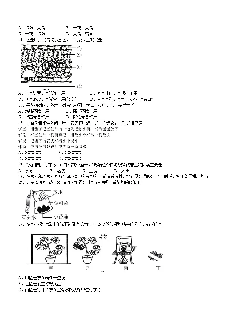 七年级上学期期末生物试题第2页
