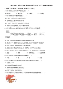 山东省聊城市冠县2022-2023学年七年级下学期期末生物试卷（含答案）