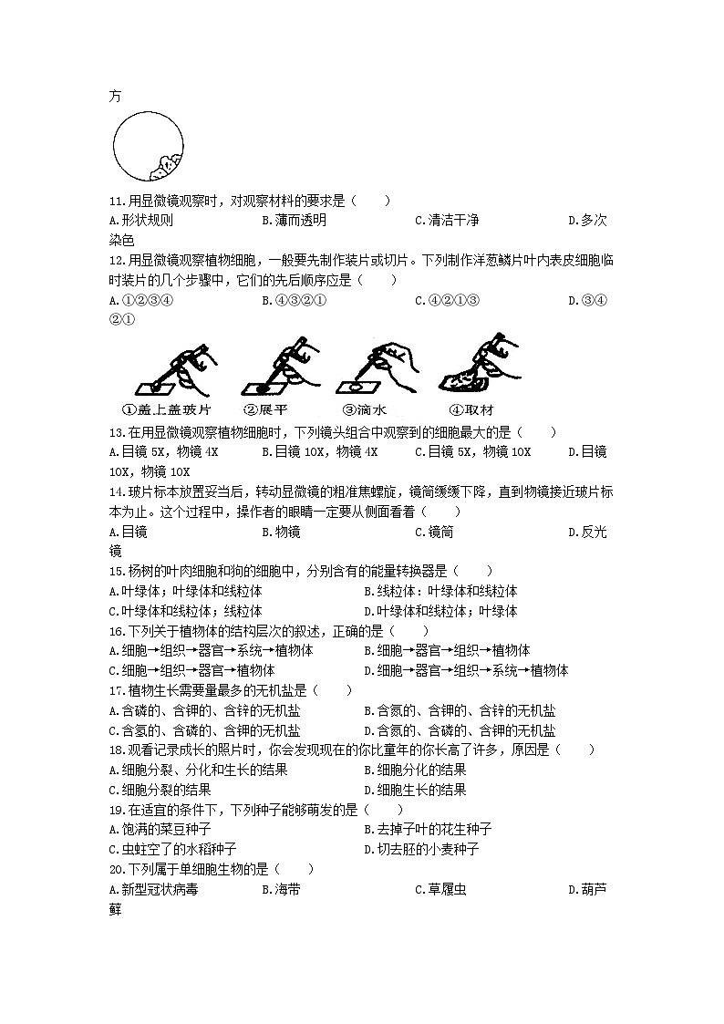 七年级上学期期末生物试题第2页