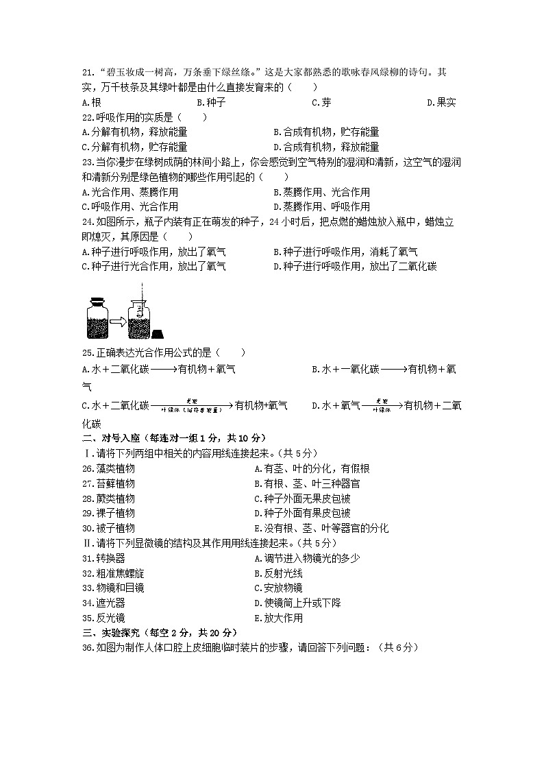 七年级上学期期末生物试题第3页