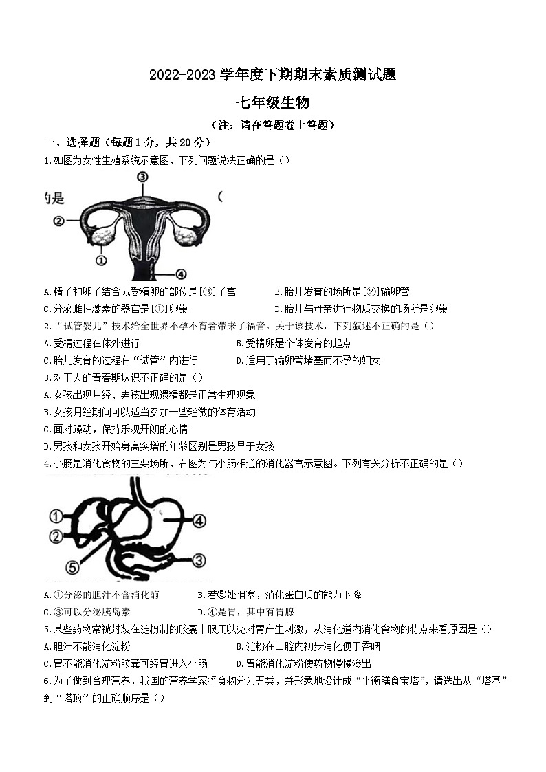 河南省驻马店市泌阳县2022-2023学年七年级下学期期末生物试题(含答案)第1页