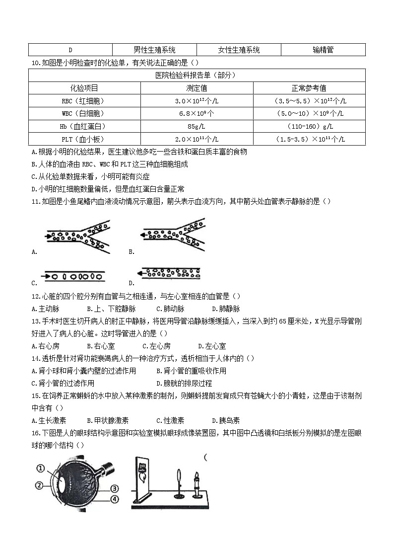河南省驻马店市泌阳县2022-2023学年七年级下学期期末生物试题(含答案)第3页