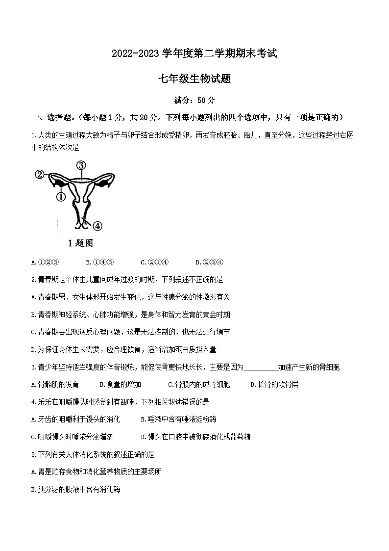 河南省周口市鹿邑縣2022-2023學(xué)年七年級下學(xué)期期末生物試題（含答案）第1頁