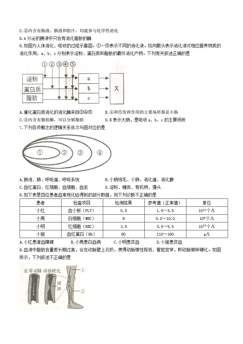 河南省平顶山市宝丰县2022-2023学年七年级下学期期末生物试题(含答案)02