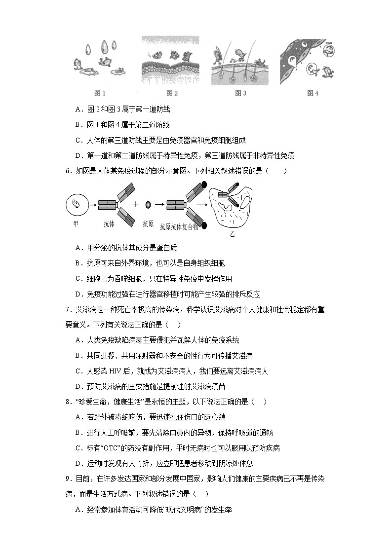 山东省泰安市新泰市2022-2023学年七年级下学期期末生物试题(含答案)02