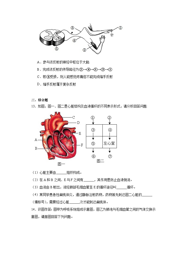 辽宁省朝阳市北票市2022-2023学年七年级下学期期末生物试题(含答案)第3页