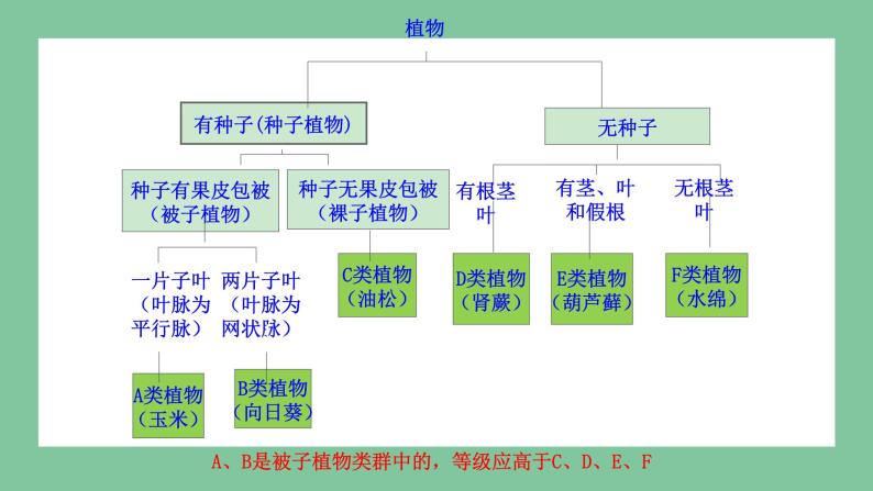 济南版生物七上 2.4.1 生物分类的方法（课件PPT)07