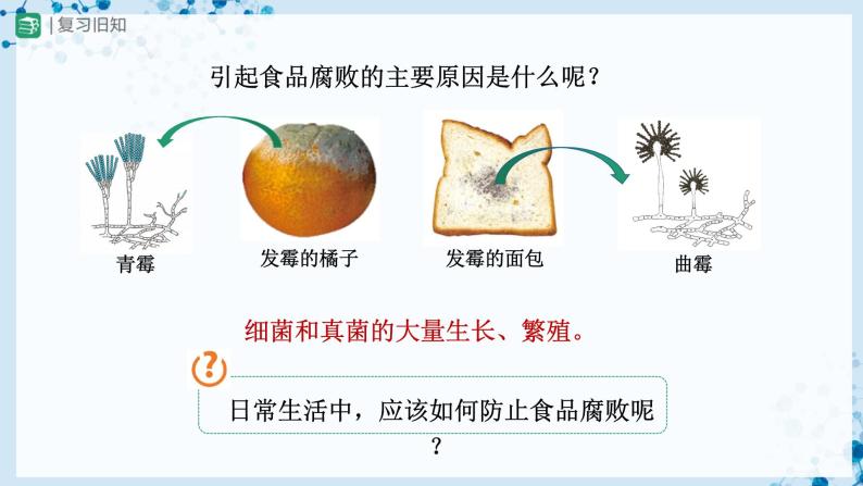 【人教版】八上生物  5.4.5 人类对细菌和真菌的利用（第2课时）（课件+教案+学案+分层练习）02