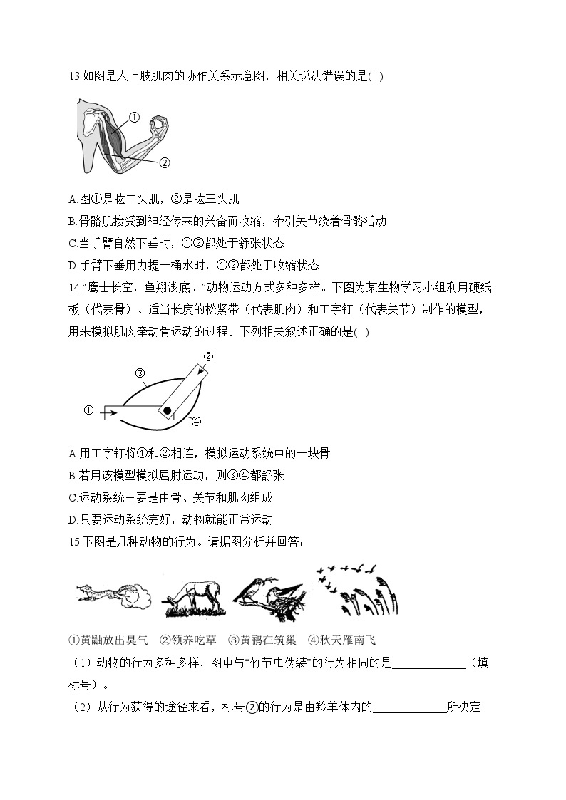 初中生物备考专题小练 （5）动物的运动和行为03