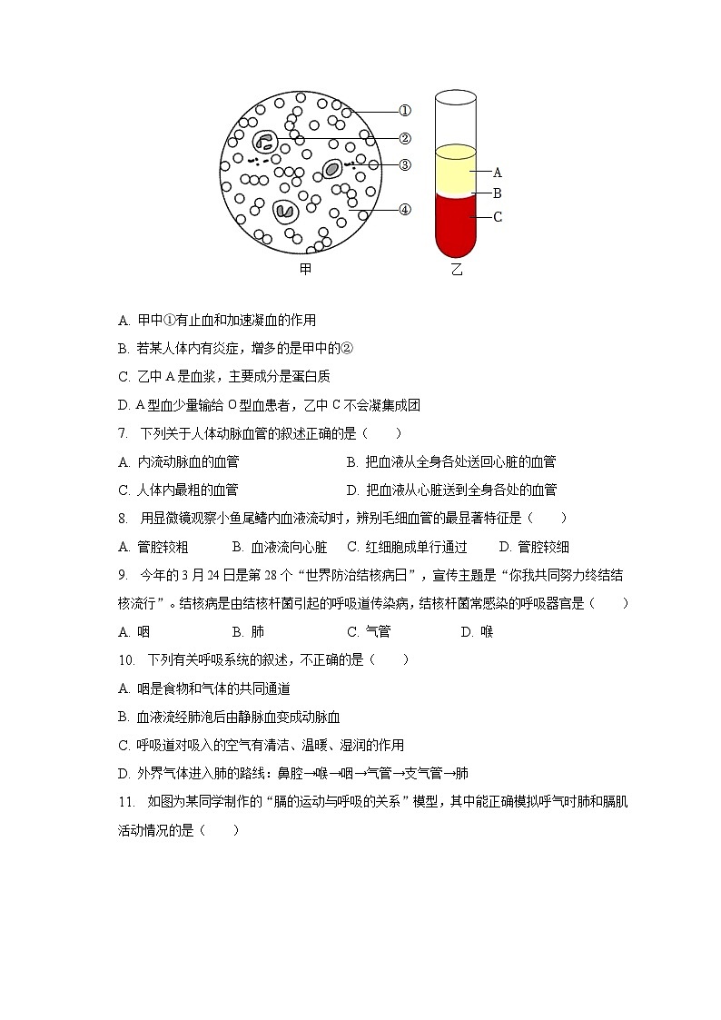 2022-2023学年河北省保定市顺平县七年级(下)期末生物试卷(含解析)第2页