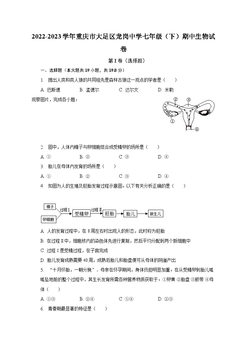 2022-2023学年重庆市大足区龙岗中学七年级（下）期中生物试卷（含解析）01