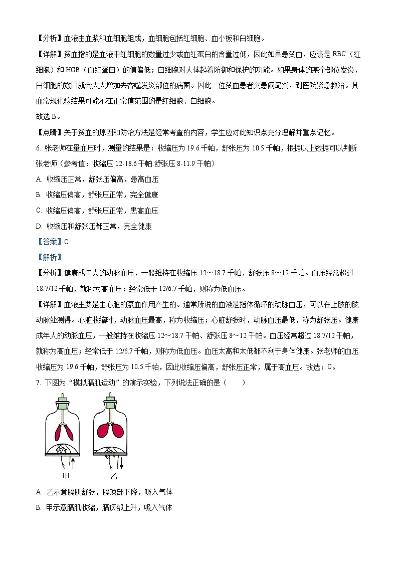 遼寧省沈陽(yáng)市鐵西區(qū)2022-2023學(xué)年七年級(jí)下學(xué)期期末生物試題（解析版）第3頁(yè)