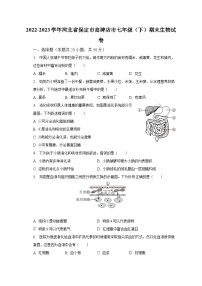 河北省保定市高碑店市2022-2023学年七年级下学期期末生物试卷（含答案）